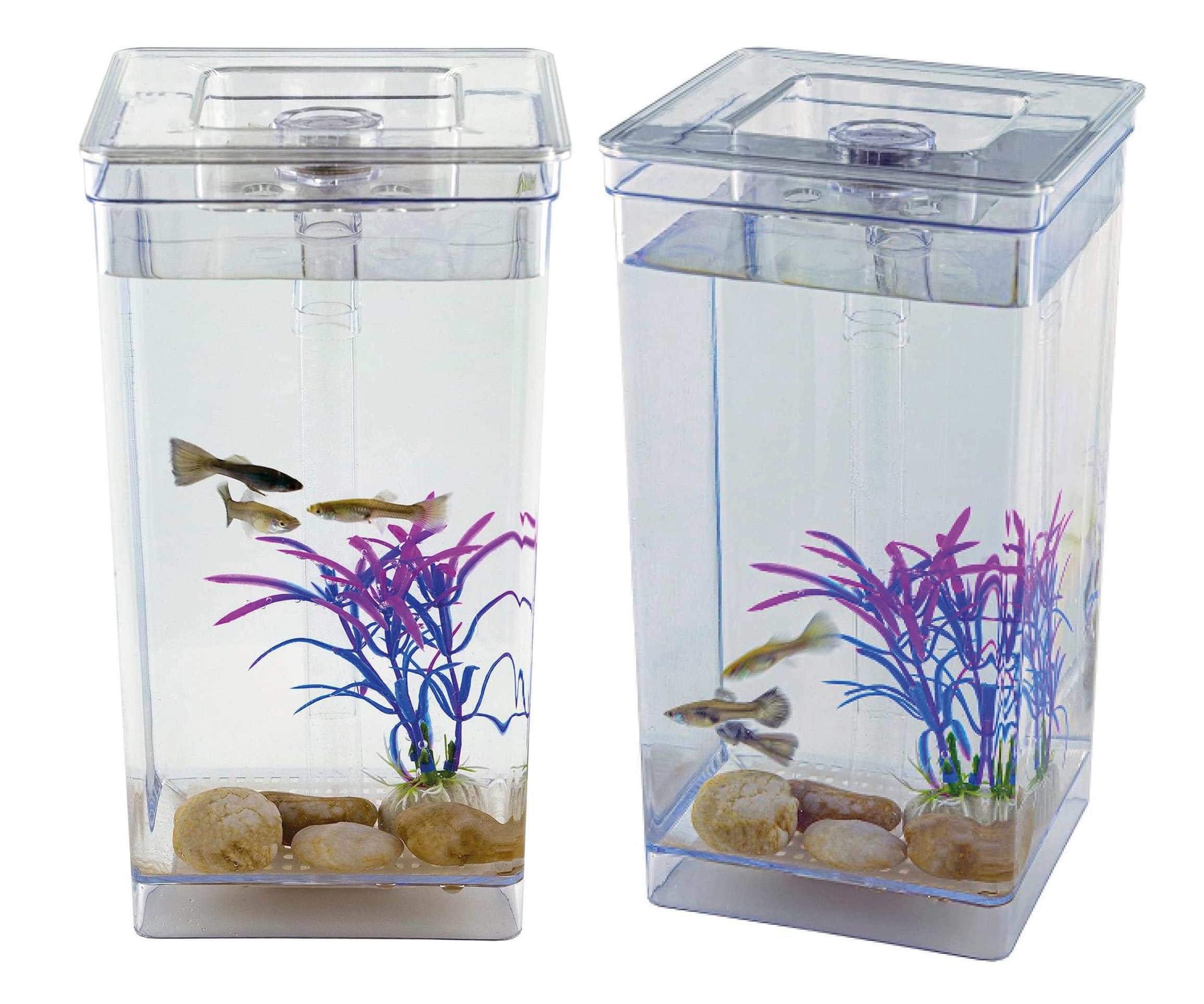 zanimiv otroški samočistilni akvarij